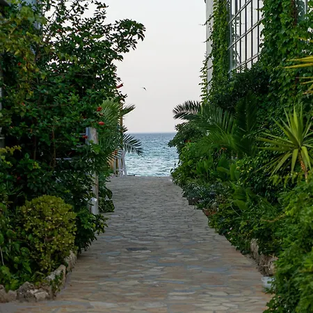 Niki's House Alykes (Zakynthos)