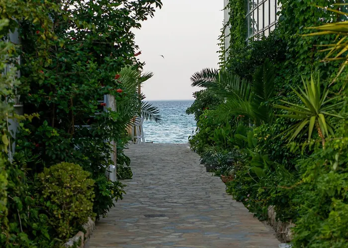 Niki's House Alykes (Zakynthos)